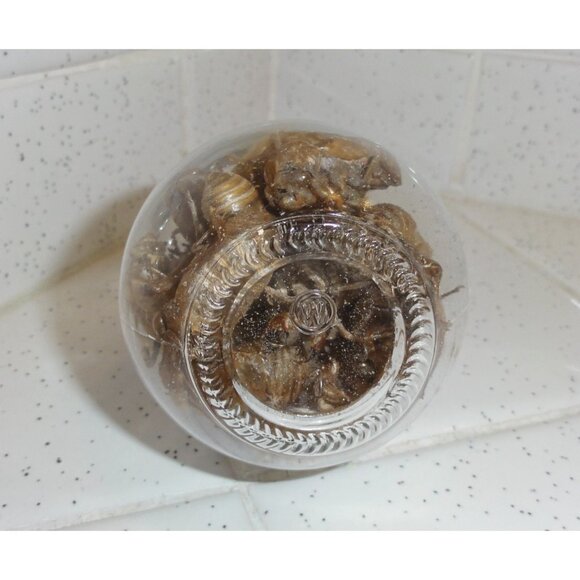 Glass Lightbulb Jar full of 27 Cicada Skins oddity curiosity goth taxidermy - Picture 15 of 16